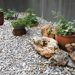Apartment Charming Terrace