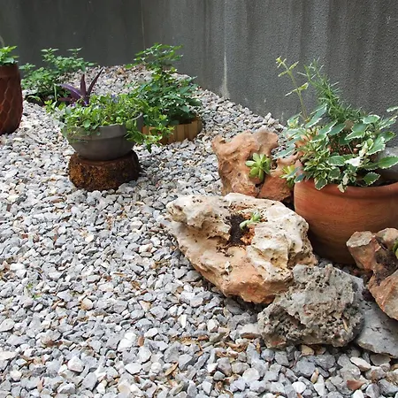 Appartement Charming Terrace