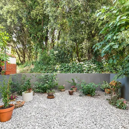 Charming Terrace Lejlighed *