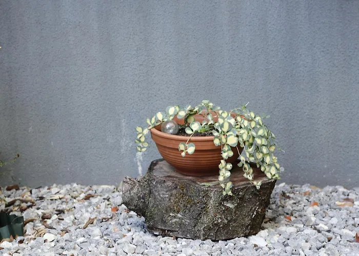 Apartmán Charming Terrace