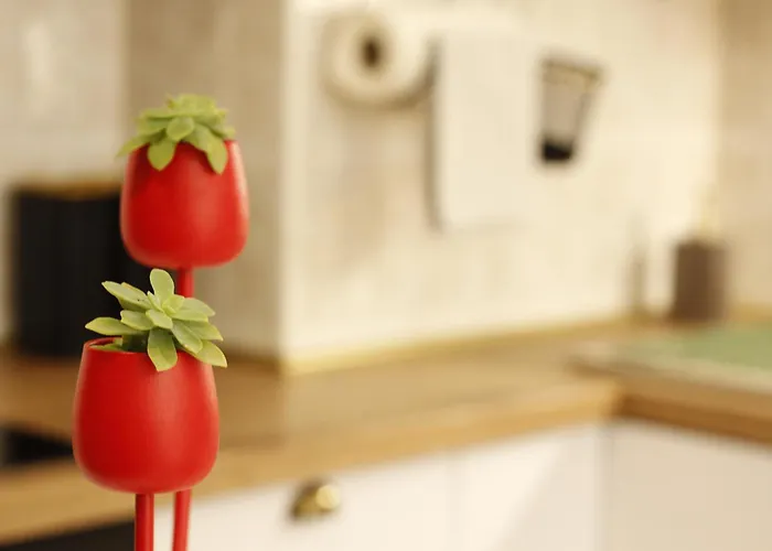 Apartmán Charming Terrace