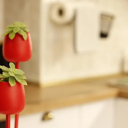 Apartament Charming Terrace